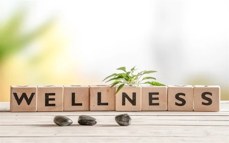 wellness-79b41d1e8541da5ad5e72a1e16a6994e1785897887.jpg