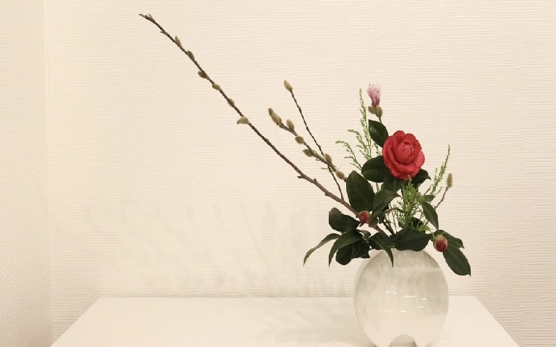 flower-608f0b988db4a96066af7dd8870de96c1790123348.jpg